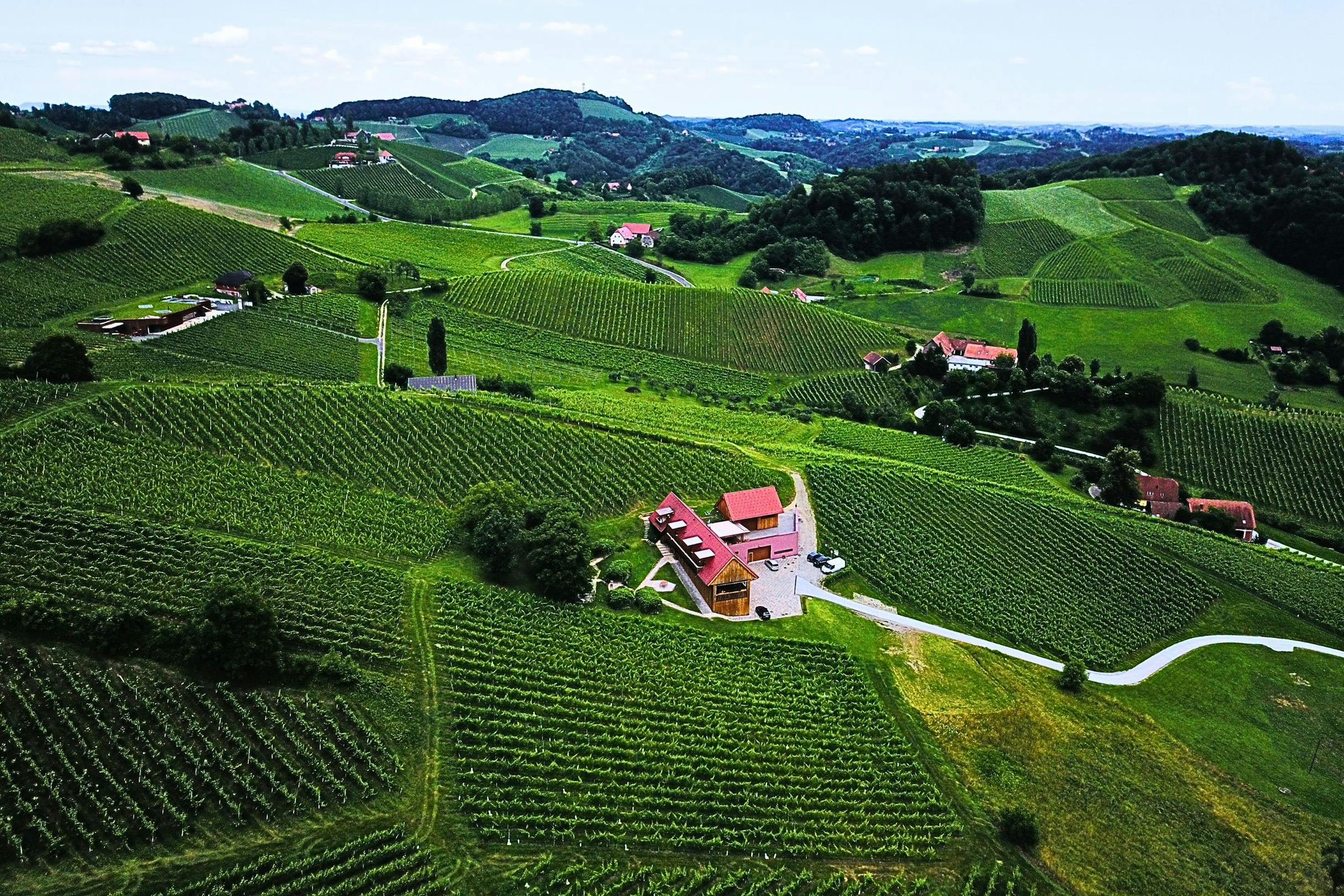 Vino Valdhuber